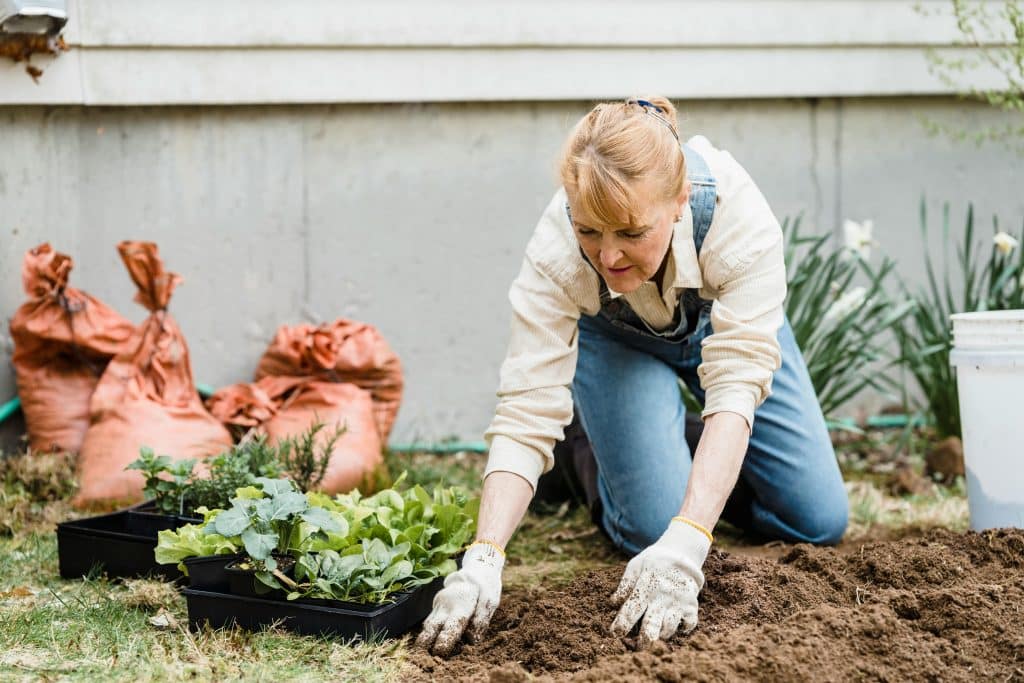 Woman Planting