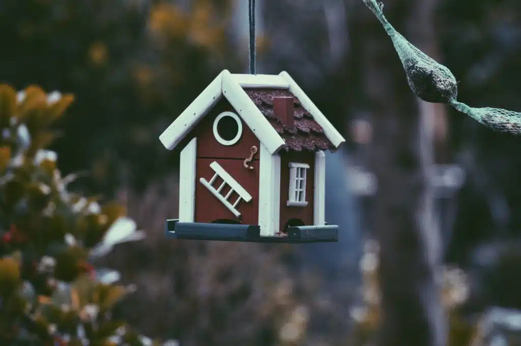 Red and white birdhouse, types of real estate ownership