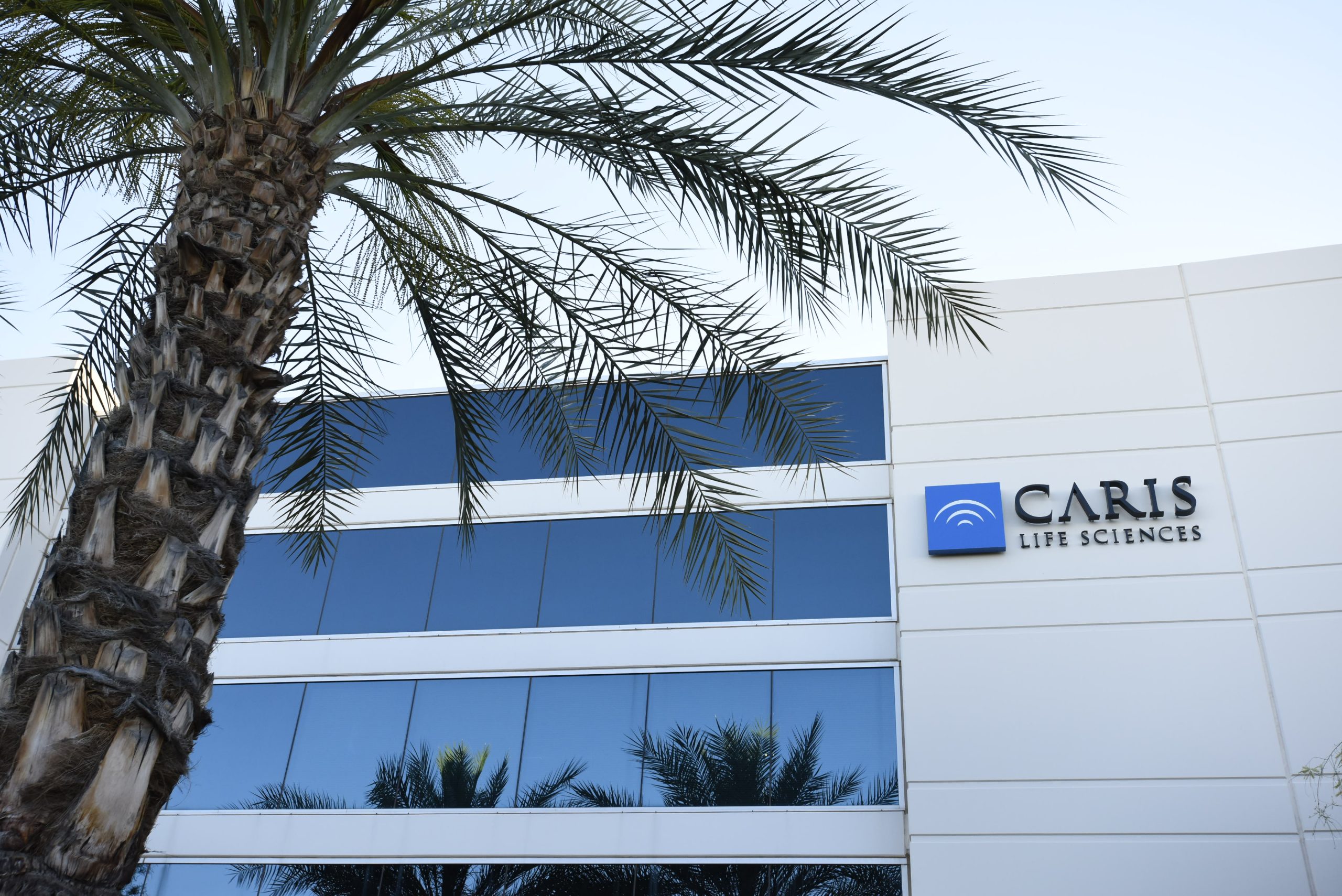 Exterior of Caris Life Sciences tissue lab with a coconut tree in front of the building