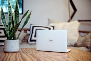 Silver Dell laptop on a wooden table beside a potted snake plant, with a couch blurred in the background.